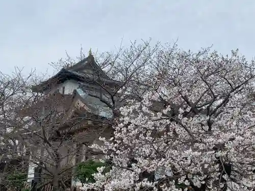 松前神社の自然