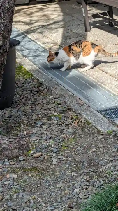行願寺(革堂)(京都府)
