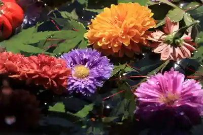 豊景神社の手水舎
