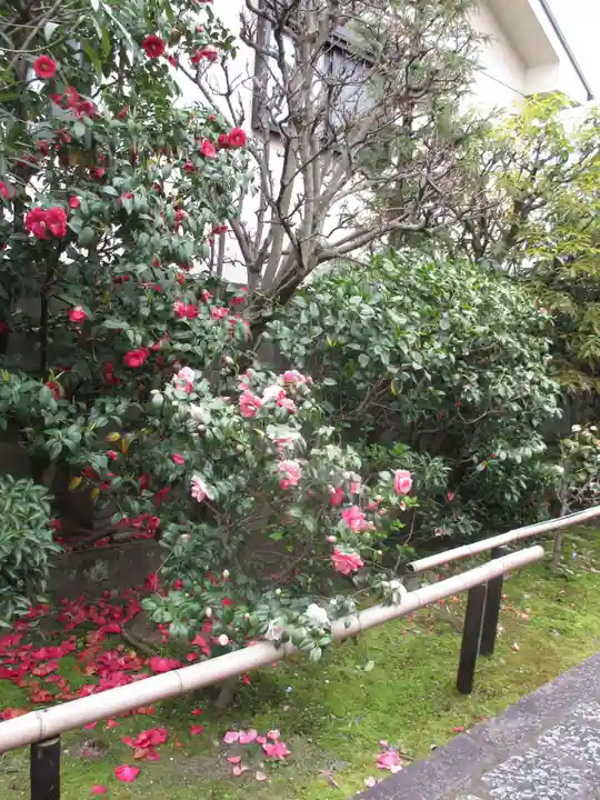 地蔵院(椿寺)の庭園
