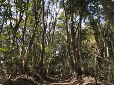 旧愛宕神社の自然