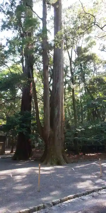 伊勢神宮内宮(皇大神宮)(三重県)