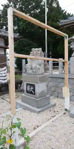 金井神社の狛犬