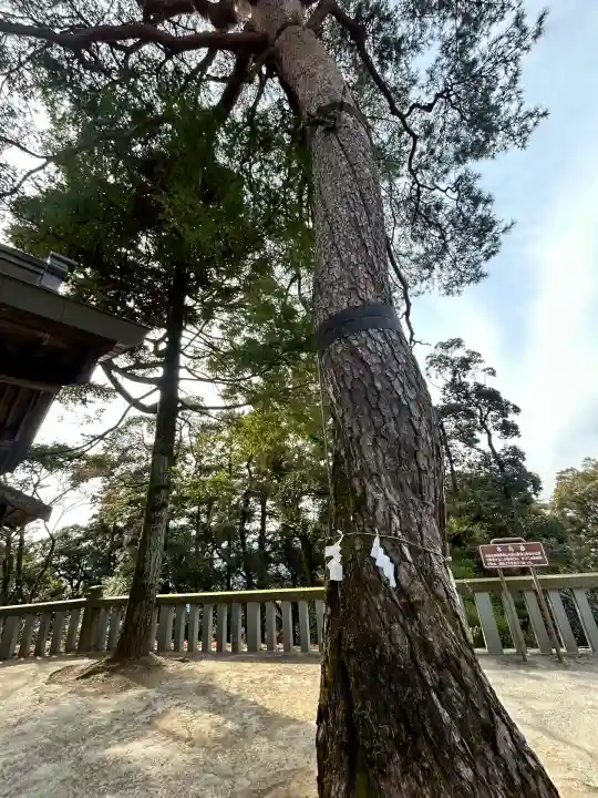 唐澤山神社(栃木県)