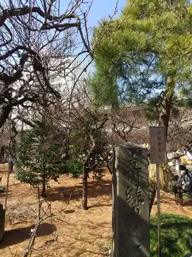 湯島天満宮の庭園