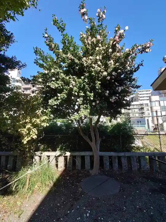 町田天満宮(東京都)