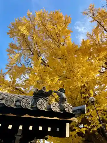 善福寺(東京都)