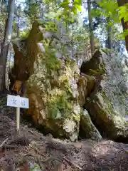 戸隠神社の自然