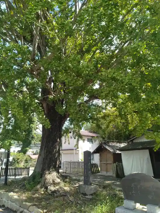 飯坂八幡神社(福島県)