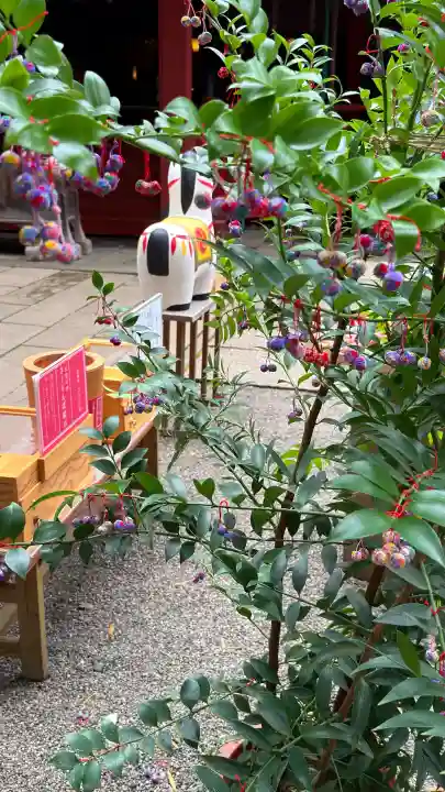 赤坂氷川神社(東京都)