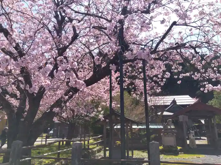 春日神社(京都府)