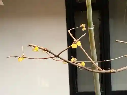 遠照山 光明寺（尼崎大仏）(兵庫県)