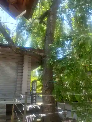 開成山大神宮(福島県)