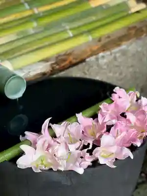 水無瀬神宮(大阪府)