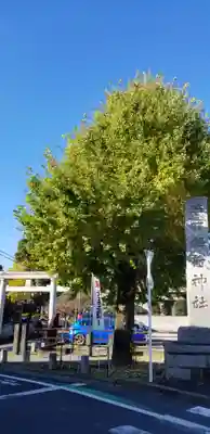 円勝寺(千葉県)