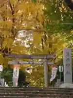 葛西神社の{uncategorized: "未分類", other: "その他", undefined: "問題あり", building: "その他建物", grave: "お墓", sacred_gate: "鳥居", guardian: "狛犬", statue: "像", buddha: "仏像", history: "歴史", nature: "自然", garden: "庭園", animal: "動物", pagoda: "塔", temizu: "手水舎", mountain_gate: "山門・神門", sanctuary: "本殿・本堂", subordinate: "末社・摂社", art: "芸術", scenery: "景色", jizo: "地蔵", ema: "絵馬", goshuin: "御朱印", omikuji: "おみくじ", items: "授与品その他", amulet: "お守り", goshuincho: "御朱印帳", eats: "食事", festival: "お祭り", votive_dance: "神楽", shichigosan: "七五三参", wedding: "結婚式", experience: "体験その他", initially: "初詣", around: "周辺", anti_infection: "感染症対策"}