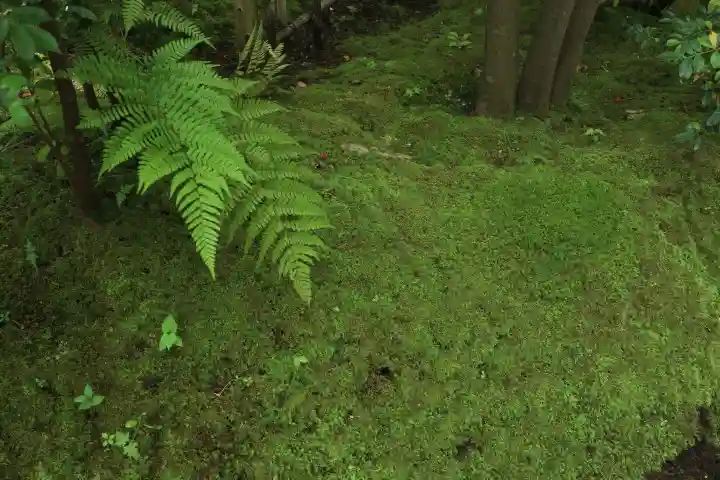 寒川神社(神奈川県)