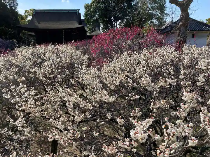道明寺天満宮のその他建物