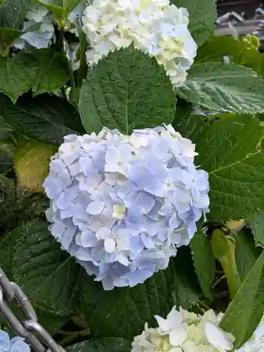 石清尾八幡宮(香川県)