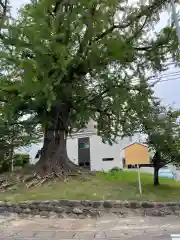 津島神社(愛知県)