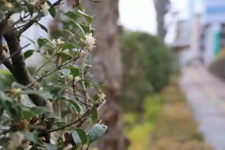愛宕神社の周辺