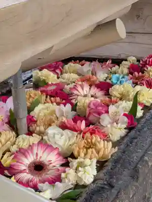 鳩森八幡神社(東京都)