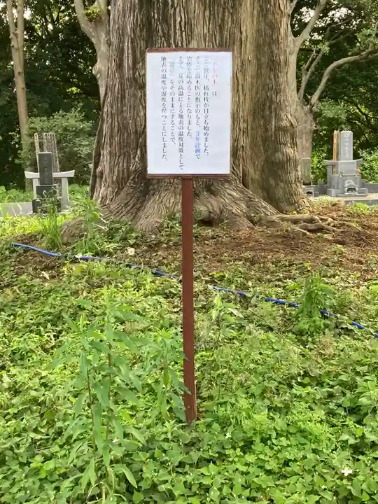 東源寺(千葉県)