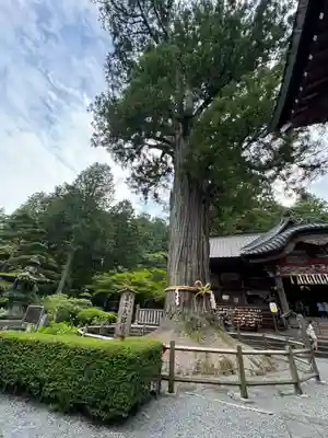 北口本宮冨士浅間神社(山梨県)