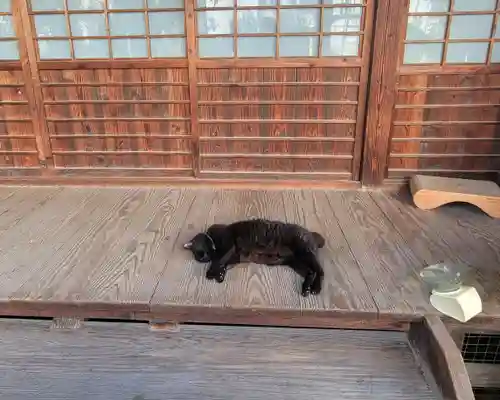 圓光寺(愛媛県)