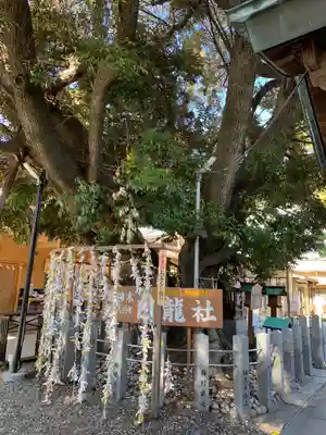 伊奴神社のその他建物