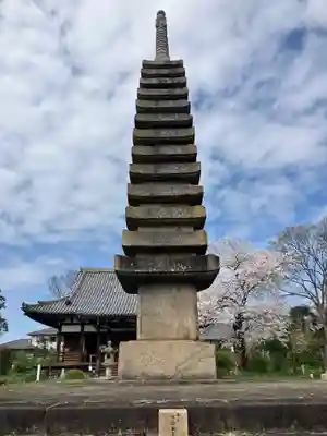 般若寺 ❁﻿コスモス寺❁(奈良県)