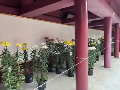 笠間稲荷神社(茨城県)