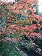 明王院（満願寺別院）の自然