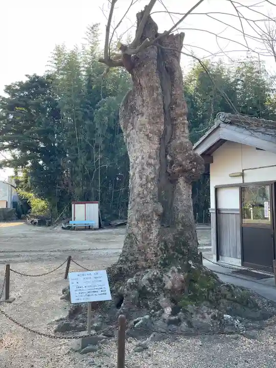 八幡神社(滋賀県)