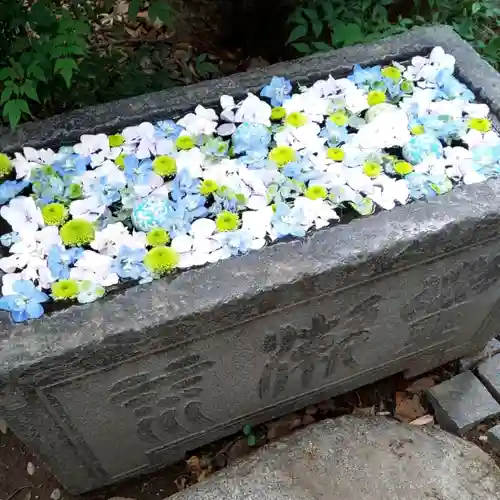 行田八幡神社の手水