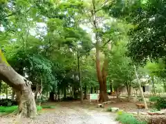 大歳神社の自然