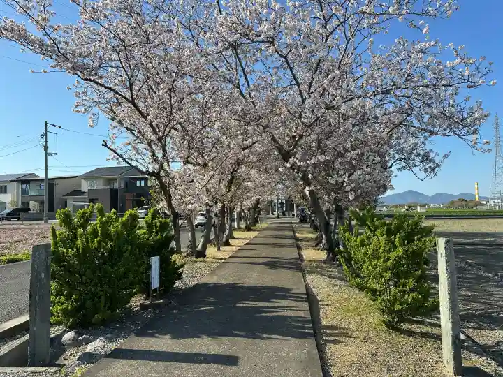 王子和多津美神社の{uncategorized: "未分類", other: "その他", undefined: "問題あり", building: "その他建物", grave: "お墓", sacred_gate: "鳥居", guardian: "狛犬", statue: "像", buddha: "仏像", history: "歴史", nature: "自然", garden: "庭園", animal: "動物", pagoda: "塔", temizu: "手水舎", mountain_gate: "山門・神門", sanctuary: "本殿・本堂", subordinate: "末社・摂社", art: "芸術", scenery: "景色", jizo: "地蔵", ema: "絵馬", goshuin: "御朱印", omikuji: "おみくじ", items: "授与品その他", amulet: "お守り", goshuincho: "御朱印帳", eats: "食事", festival: "お祭り", votive_dance: "神楽", shichigosan: "七五三参", wedding: "結婚式", experience: "体験その他", initially: "初詣", around: "周辺", anti_infection: "感染症対策"}