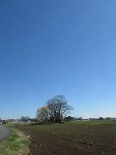 神明神社(千葉県)