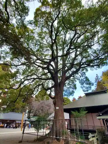 常磐神社(茨城県)