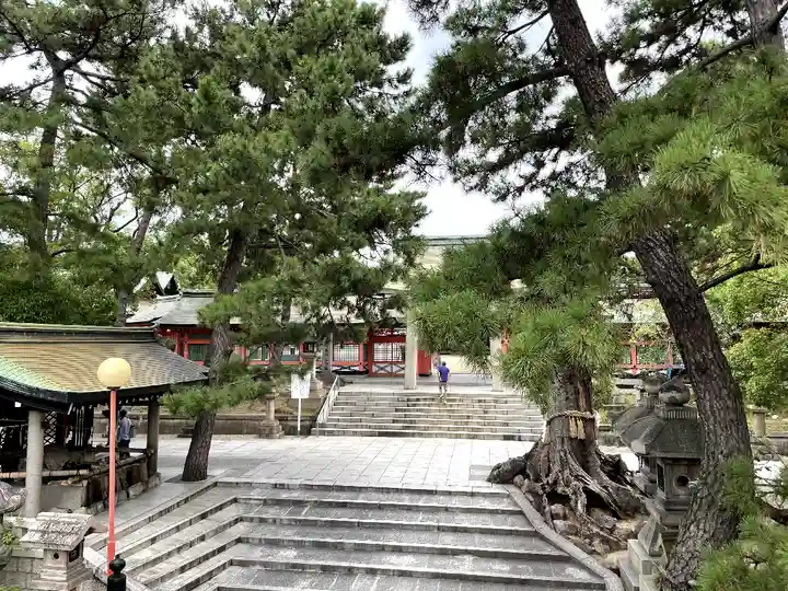 住吉大社(大阪府)