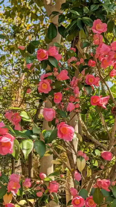 浄安寺(京都府)