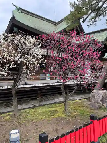 白山神社の庭園