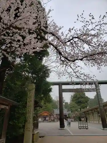 射水神社の鳥居