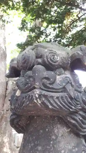 新琴似神社の狛犬