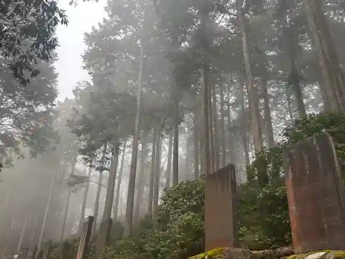 三峯神社の{uncategorized: "未分類", other: "その他", undefined: "問題あり", building: "その他建物", grave: "お墓", sacred_gate: "鳥居", guardian: "狛犬", statue: "像", buddha: "仏像", history: "歴史", nature: "自然", garden: "庭園", animal: "動物", pagoda: "塔", temizu: "手水舎", mountain_gate: "山門・神門", sanctuary: "本殿・本堂", subordinate: "末社・摂社", art: "芸術", scenery: "景色", jizo: "地蔵", ema: "絵馬", goshuin: "御朱印", omikuji: "おみくじ", items: "授与品その他", amulet: "お守り", goshuincho: "御朱印帳", eats: "食事", festival: "お祭り", votive_dance: "神楽", shichigosan: "七五三参", wedding: "結婚式", experience: "体験その他", initially: "初詣", around: "周辺", anti_infection: "感染症対策"}