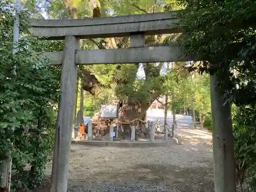 大宮神社(愛知県)