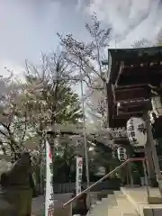 多田神社の建物その他