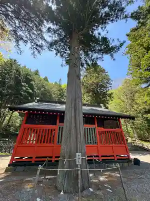 鎮神社(長野県)