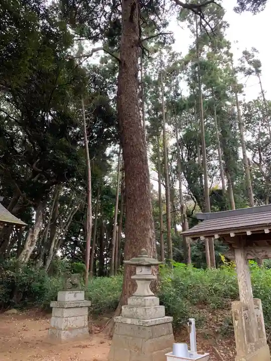 天之宮大神(千葉県)