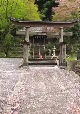 高尾山麓氷川神社の鳥居